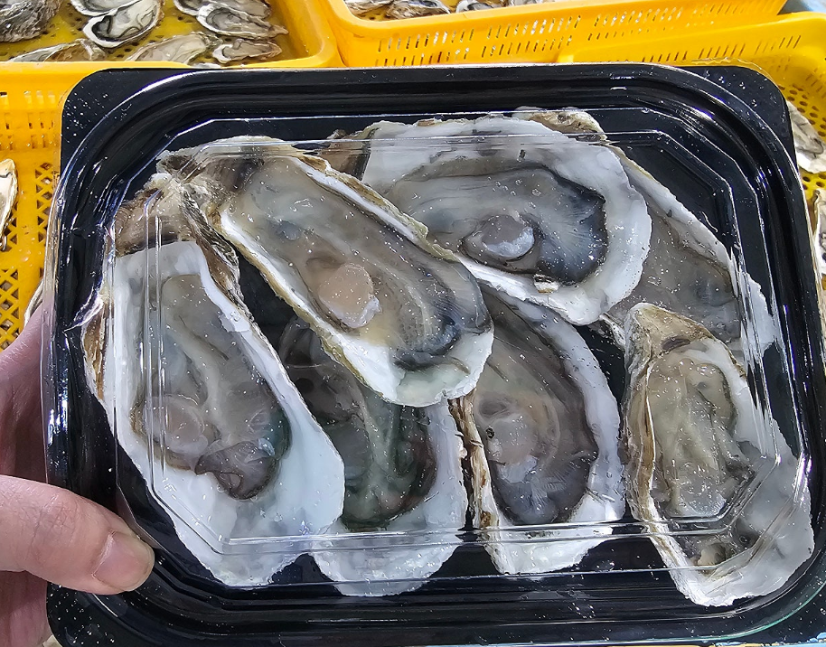 2025년 11월 추천 제철 수산물 TOP 3