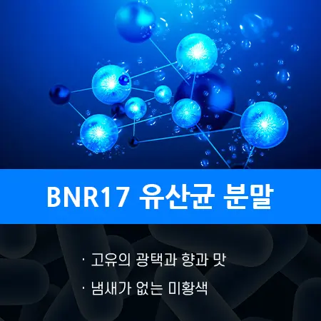 BNR17 모유 유산균