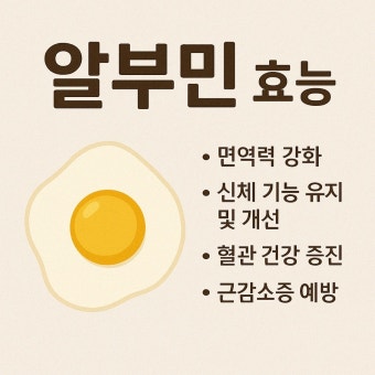 알부민 영양제 효능