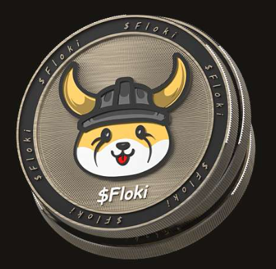 플로키(Floki) 코인 시세 전망: 2030년까지 들고간다면?