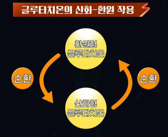 글루타치온 효능