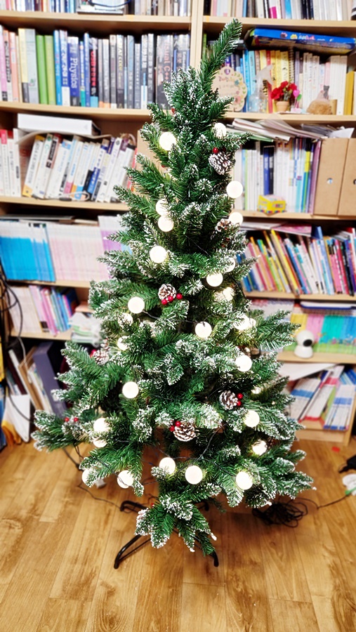 트리에 둘러준 모습