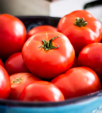 다이어트 식단 추천 레시피 요리