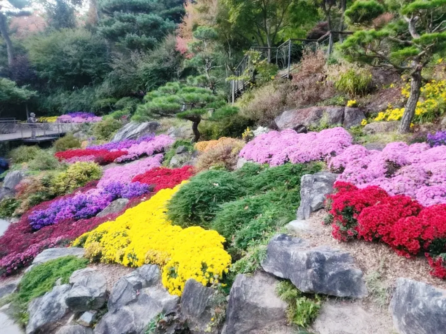 화담숲 숨은 포토스팟
