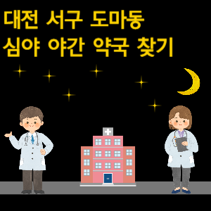 대전 도마동 심야 야간 약국 찾기