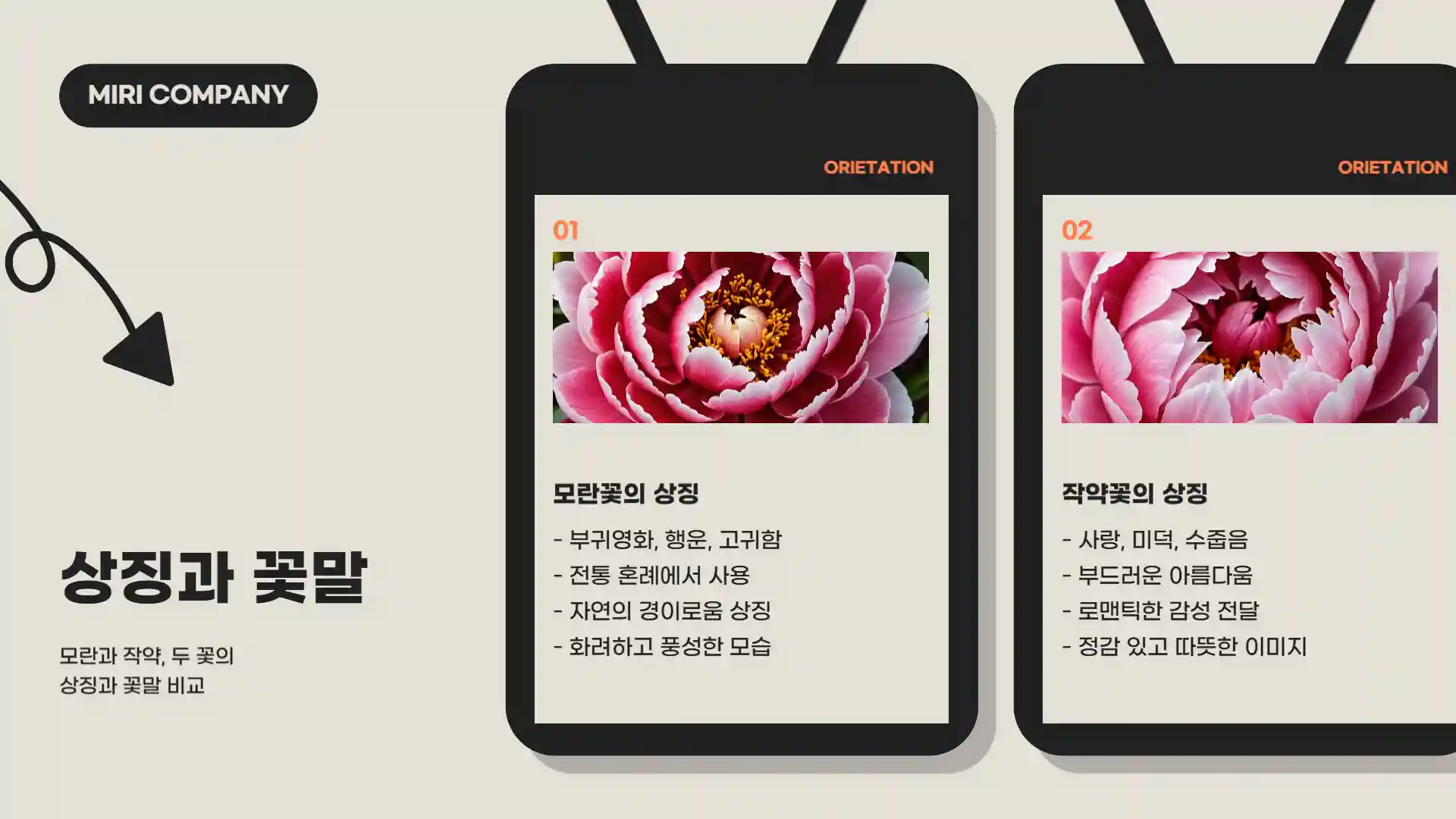 모란꽃과 작약꽃
