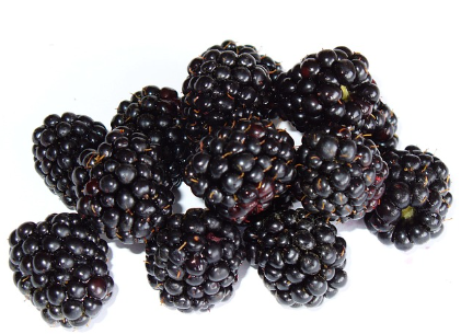 갑상선에 좋은 음식 11