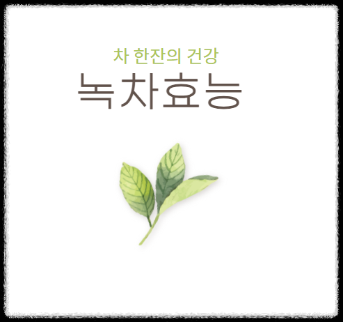 녹차 효능