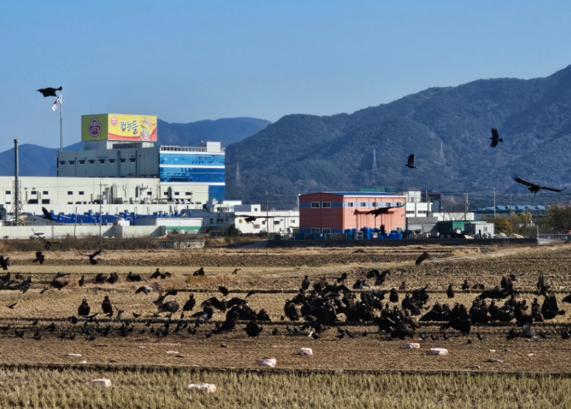 고성독수리 생태체험관