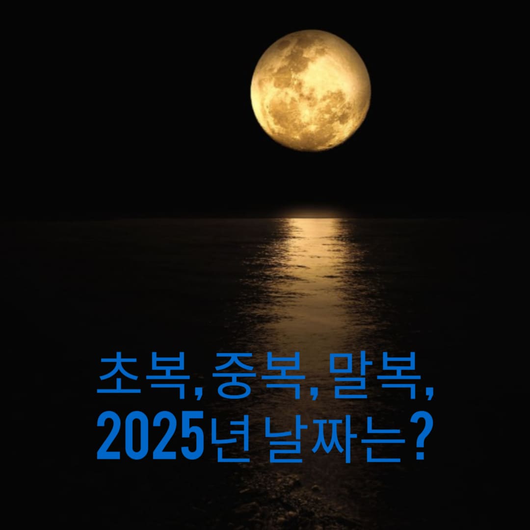 초복-중복-말복-2025년-날짜는-썸네일