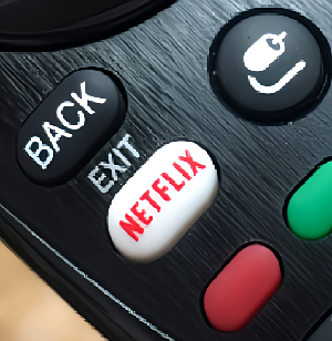 넷플릭스-버튼