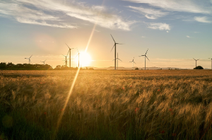 재생에너지와 전력망: 불안정한 전기를 어떻게 안정화할까?