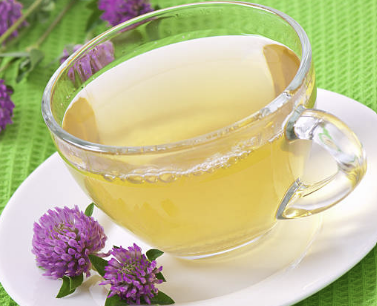 우엉차 효능 9가지 부작용 끓이는법 총정리 (2024)