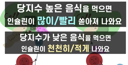 음식의 당지수에 따른 혈당