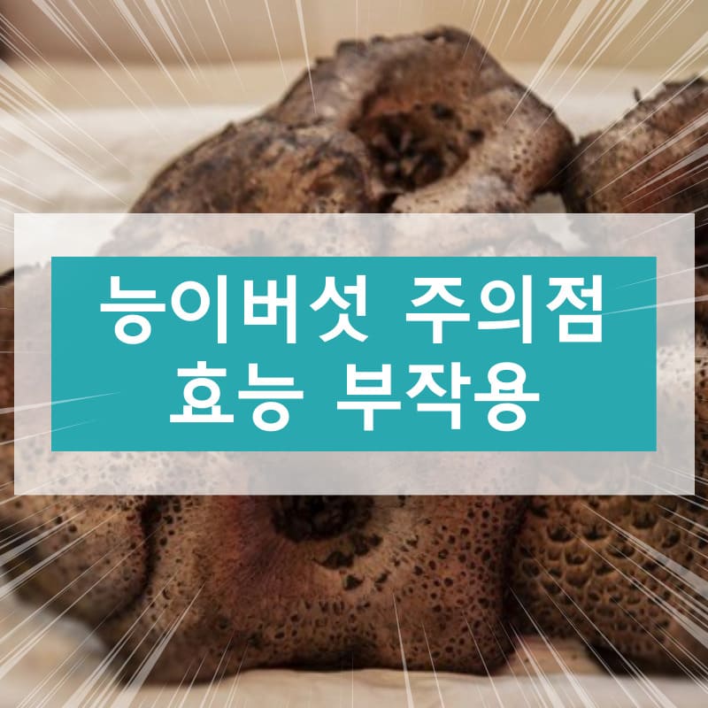 능이버섯 주의점 효능 부작용