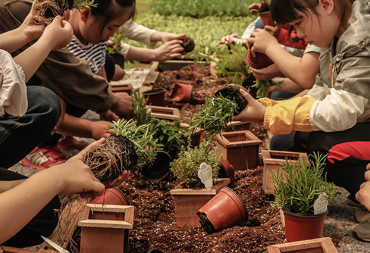 팜카밀레 허브농원