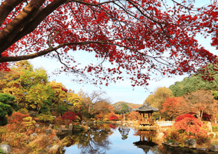 가평 아침고요 수목원 드라마 촬영
