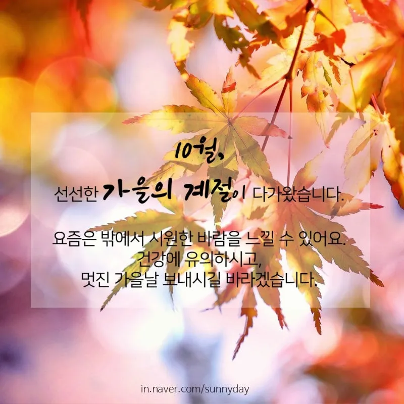 10월 인사말 예시 모음 영어_6