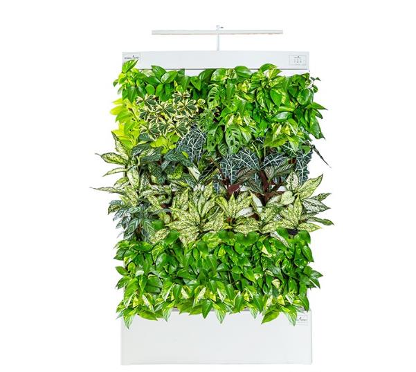 생생정보 수직정원 썸네일