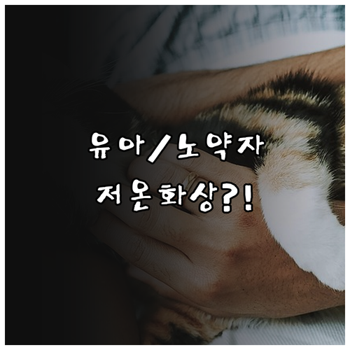 노약자 유아 탑승 시 열선시트 저온 ..