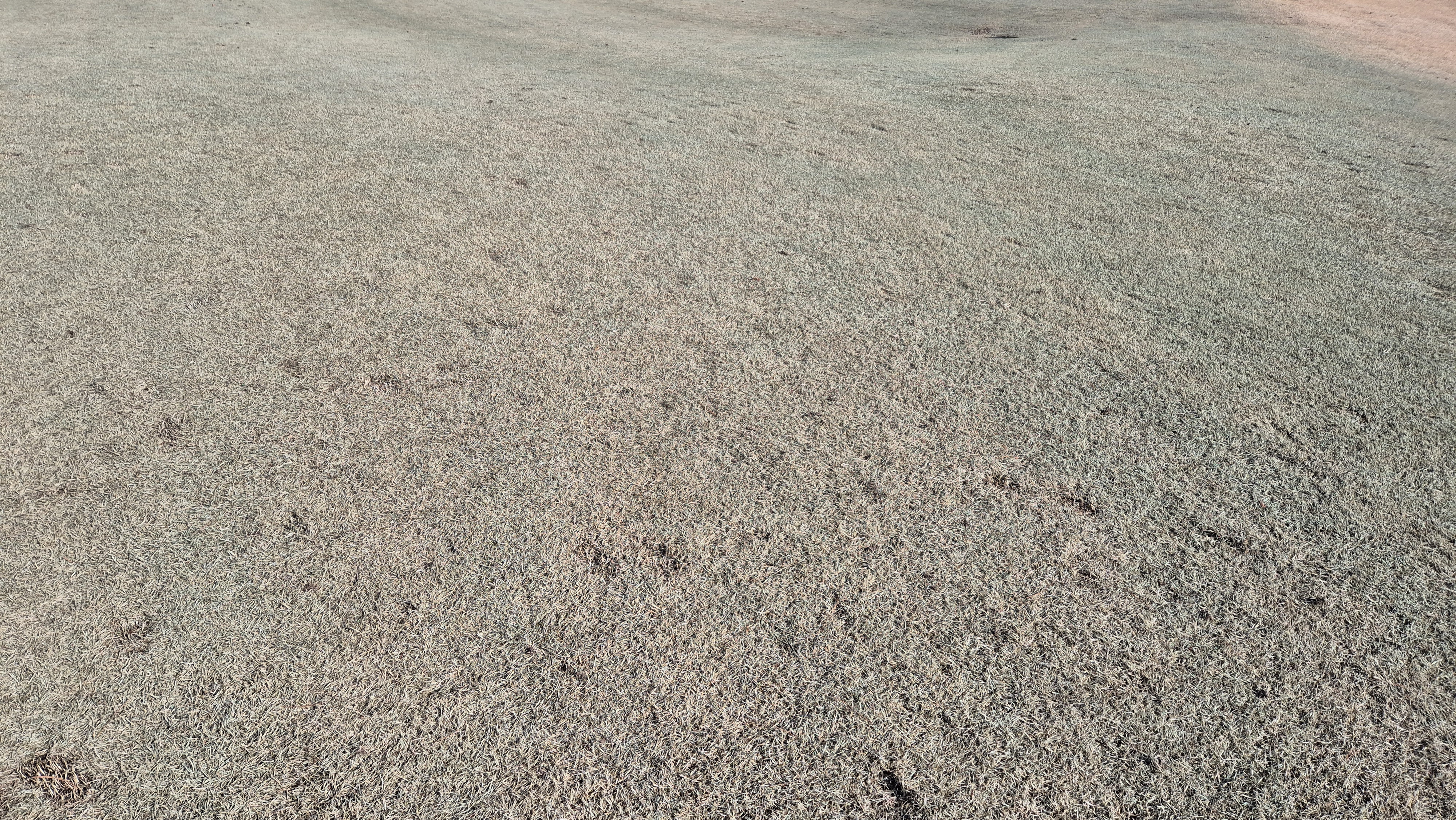 더크로스비gc 아리아-샬롯 코스 관리상태