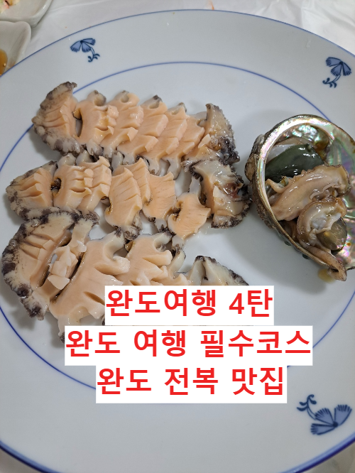 완도여행 ④ 완도 진미횟집 식객 허영만도 극찬한 완도 맛집 완도 물회 맛집 완도 전복 맛집