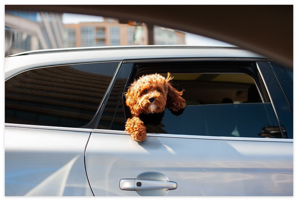 법인 사업자 발급 여부 안내