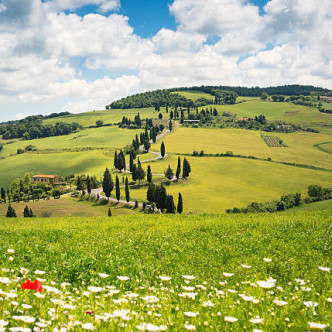 토스카나 봄 사진