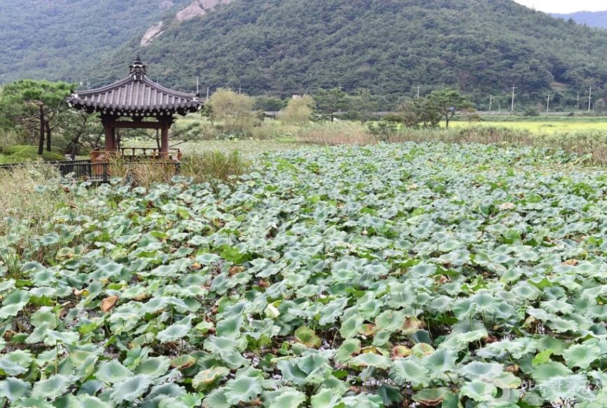 영광 가볼만한곳 베스트 10