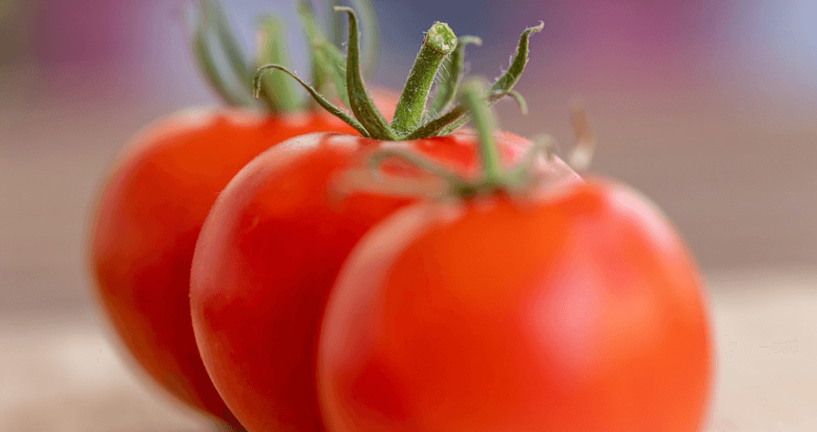 토마토 3개가 놓여 있다