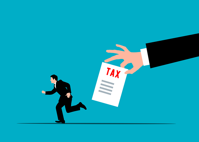 2026 네이버 신년운세 무료로 보는법 총정리