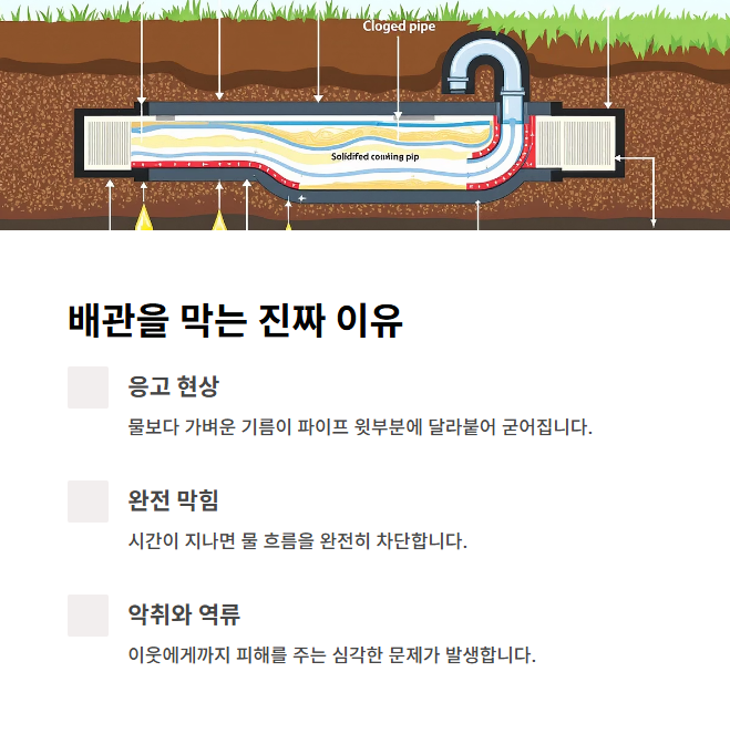폐식용유가 배관을 막는 진짜 이유
