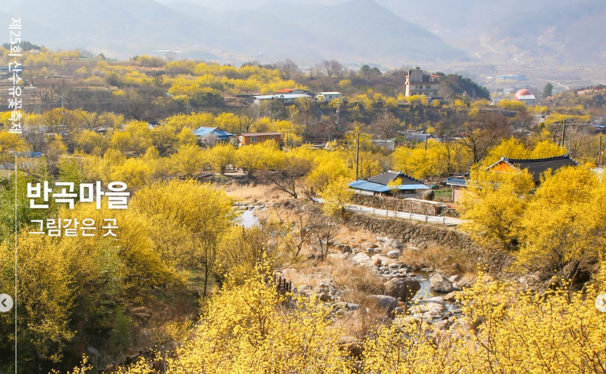 구례산수유꽃축제 기본정보