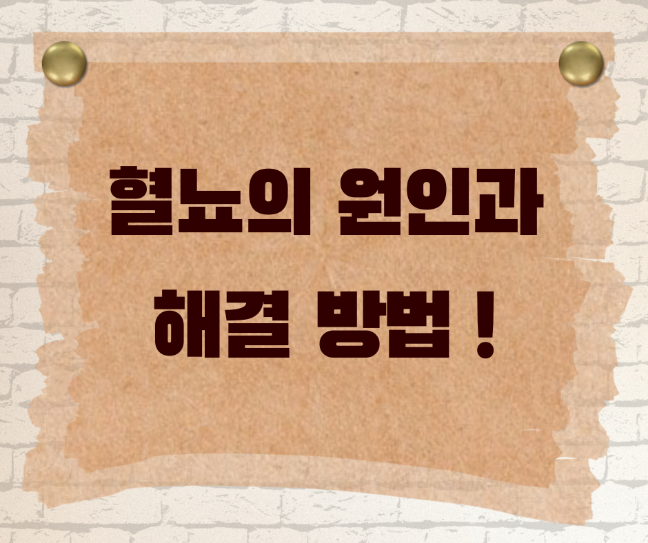 붉은색 소변, 피가 섞였을까? 혈뇨가 나타나는 원인과 해결 방법