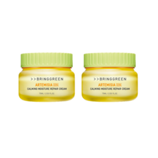  브링그린 사철쑥 카밍 수분 크림