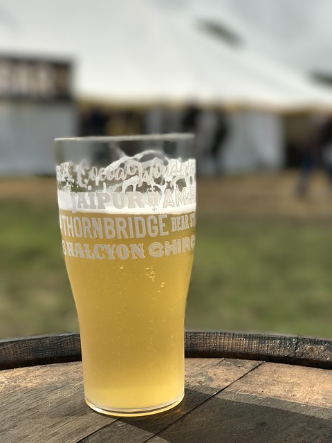 2024년 2025년 대전 비어위크 맥주축제 특이하누 한우축제 