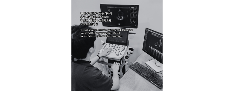 군산시 동물병원