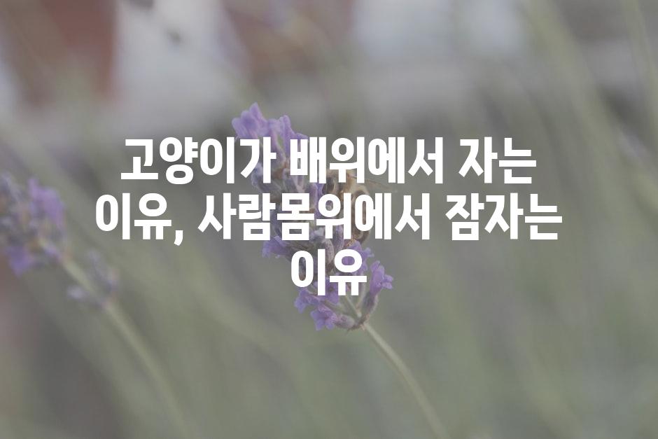 API 할당량 초과 오류 1