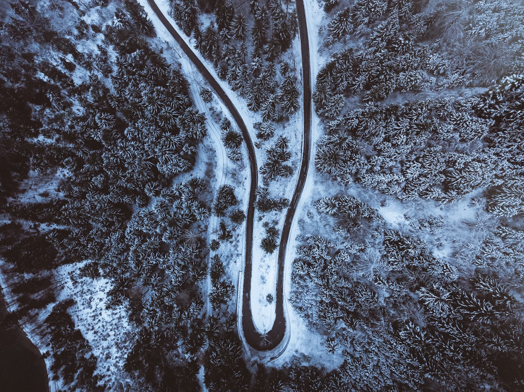 Endoscope