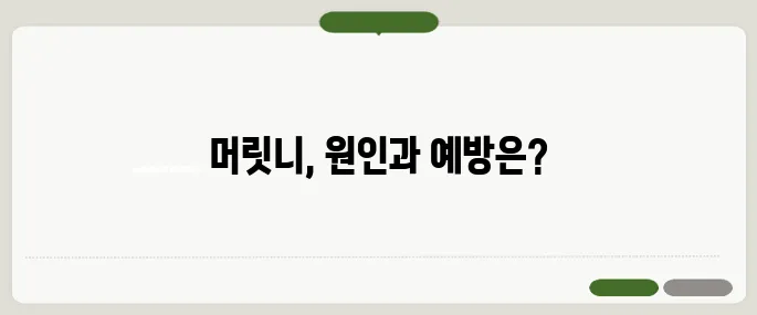 머릿니 생기는 이유와 예방법