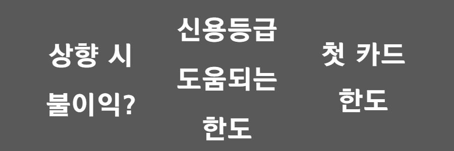 신용카드 도움되는 한도 알아보기