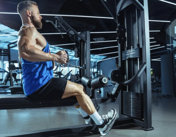 등 운동(Back Workout)에 대한 모든 것,