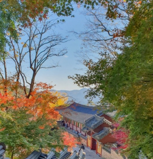 부처님오신날유명사찰