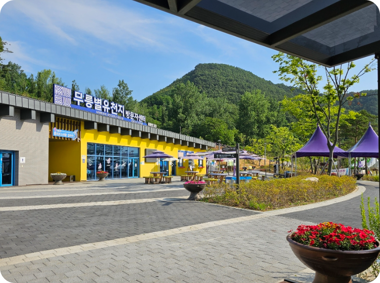 2025 강원도 동해 아이와 함께 가볼만한곳, 무릉별유천지, 라벤더 축제 총정리