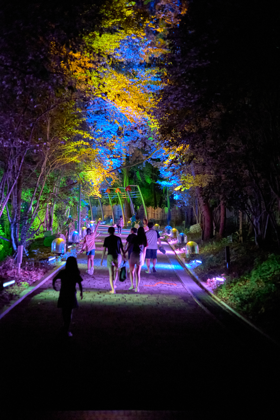 빛의 오케스트라 Light Orchestra