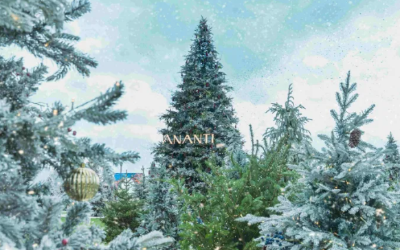 부산 크리스마스 명소 가볼만한곳 TOP 7