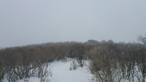 태백산 눈꽃산행