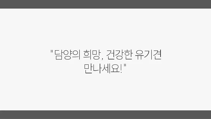 유기견 보호소의 아이들의 모습