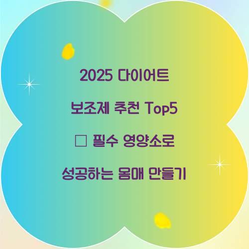 2025 다이어트 보조제 추천 Top5