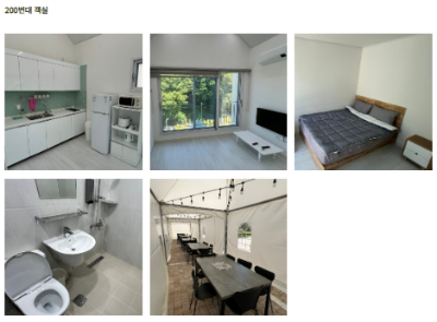 용인 자작나무숲